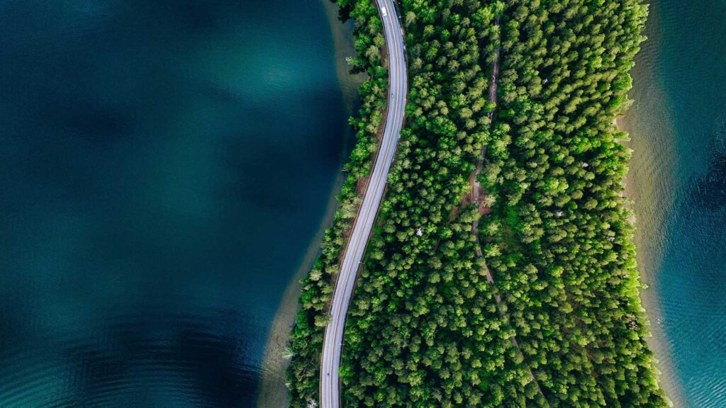 a road surrounded by trees and water