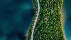 una strada circondata da alberi e acqua