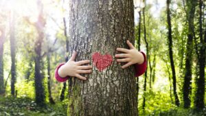 un bambino che abbraccia un tronco d'albero con un cuore inciso sopra