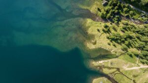 un bacino d'acqua con terra e alberi