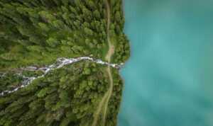 un sentiero tra un lago e una foresta