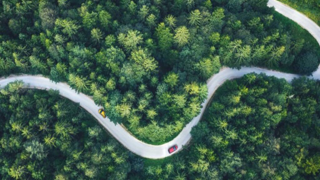 una strada in mezzo al bosco