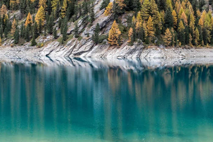 Acqua con alberi e rocce