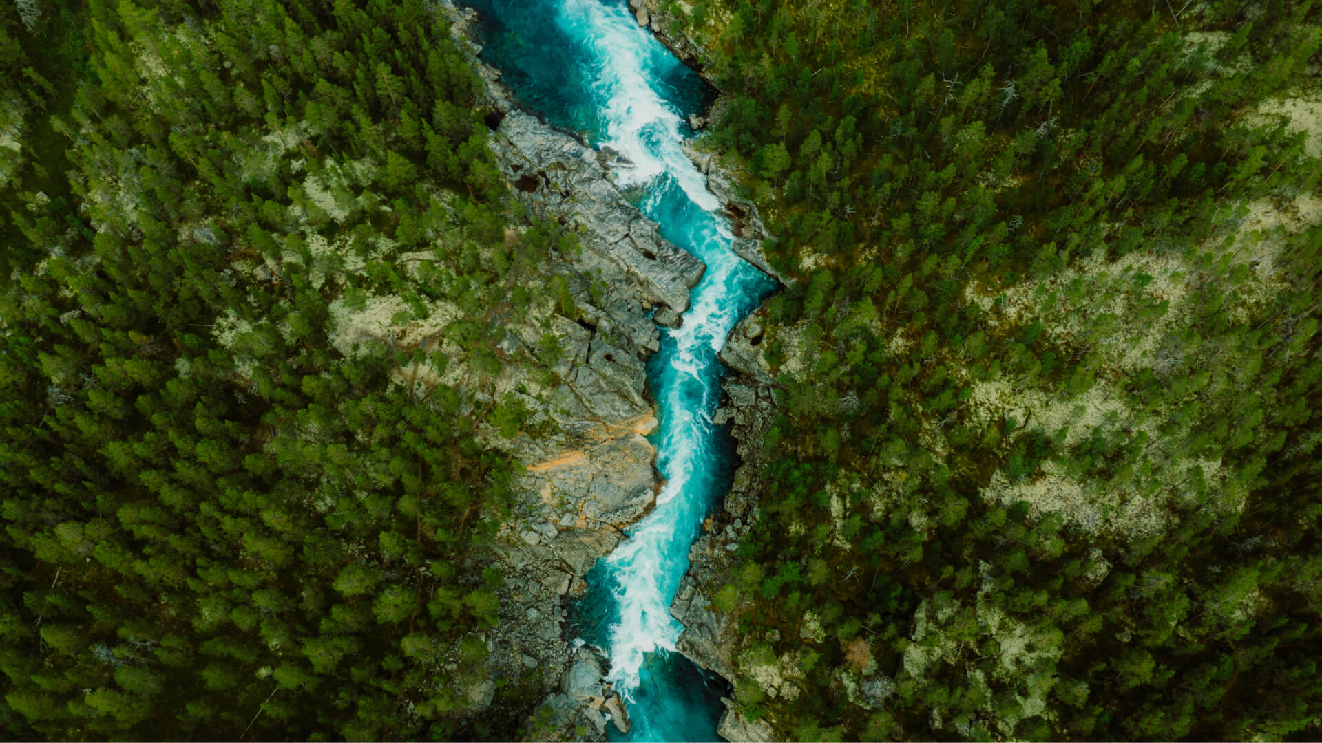 un fiume tra rocce e alberi