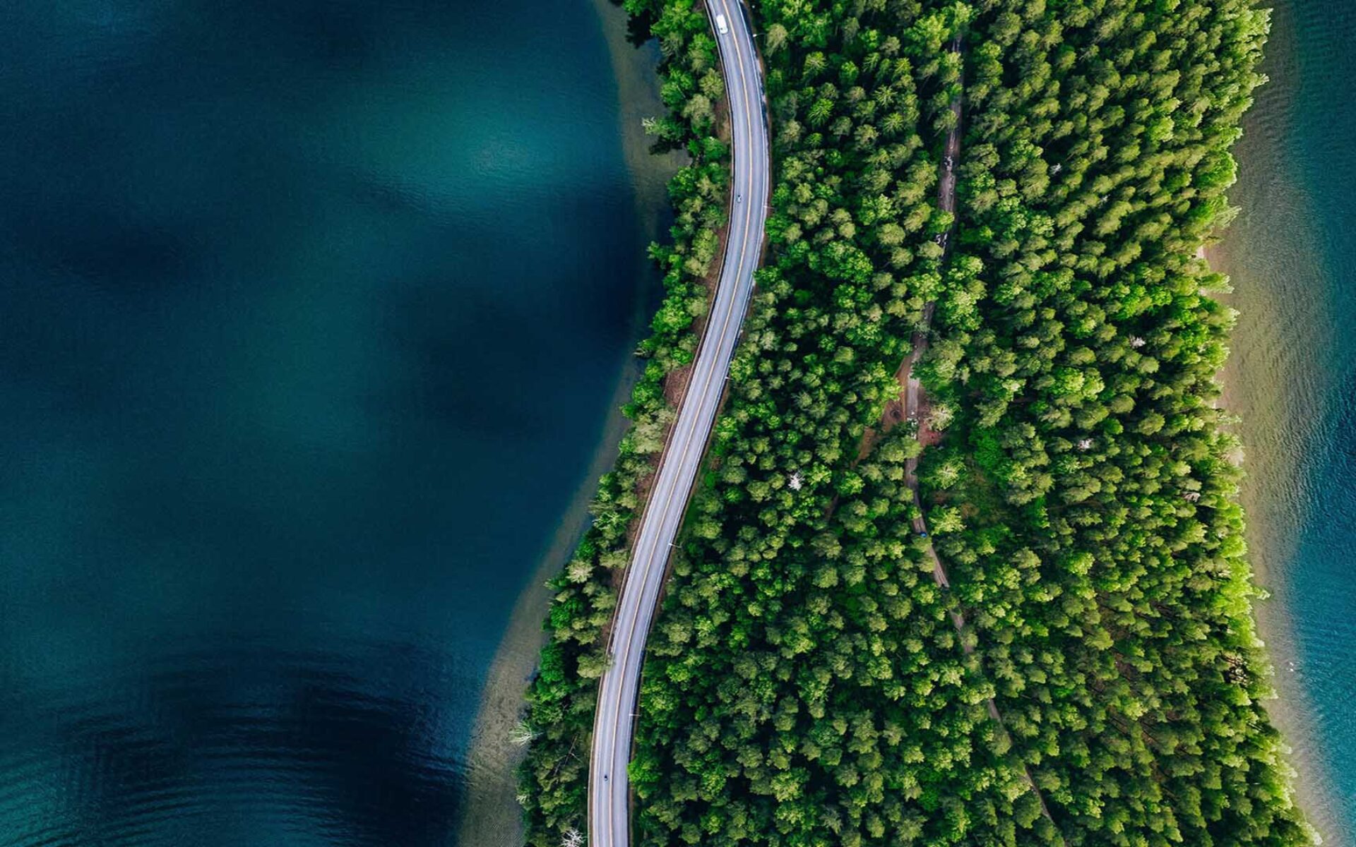 una strada circondata da alberi e acqua